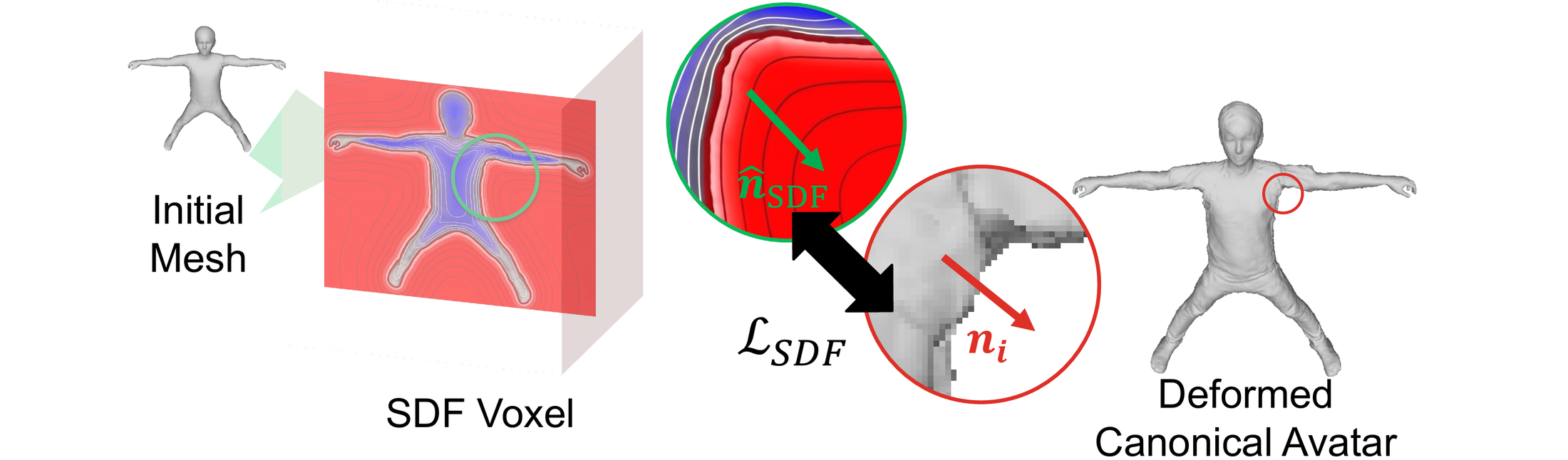 An SDF voxel grid built from the initial mesh; normals of the deformed canonical avatar are aligned to the SDF gradient